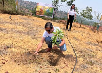 हिण्डाल्को इंडस्ट्रीज खान प्रभाग सामरी में विश्व पर्यावरण दिवस पर पौधरोपण कार्यक्रम का आयोजन