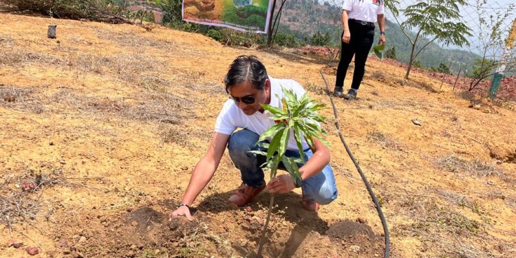 हिण्डाल्को इंडस्ट्रीज खान प्रभाग सामरी में विश्व पर्यावरण दिवस पर पौधरोपण कार्यक्रम का आयोजन