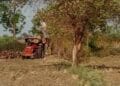 पर्यावरण दिवस पर हरे पेड़ों की कटाई.माफियाओं ने की मीडिया से बदसलूकी