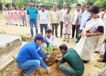 जीवन में ऊर्जा के लिए वृक्ष अति उपयोगी