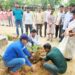 जीवन में ऊर्जा के लिए वृक्ष अति उपयोगी