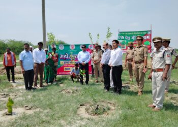 A tree named after the Prime Minister’s mother