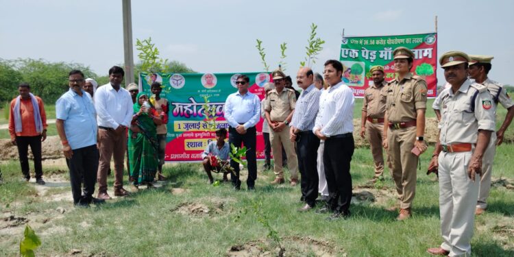 A tree named after the Prime Minister’s mother