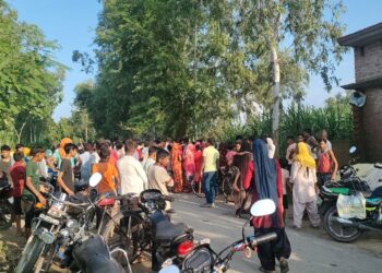 पीलीभीत में नहीं थम रहा है बाघों का आतंक