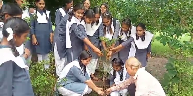 छात्र-छात्राओं ने पौधे लाकर किया पौधारोपण