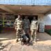 सामरीपाठ में महिला की कुल्हाड़ी से हत्या, पुलिस ने आरोपी को गिरफ्तार किया..