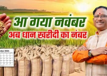 14 नवंबर से शुरू होगी धान खरीदी, कलेक्टर ने की तैयारियों की समीक्षा..