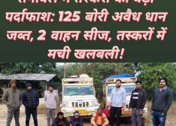 बलरामपुर में बड़ी कार्रवाई: 125 बोरी अवैध धान जब्त, 2 वाहन जब्त, तस्करों में मची खलबली!