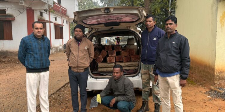 रामानुजगंज :- लकड़ी तस्करी पर कड़ा प्रहार, पुलिस ने एक आरोपी को गिरफ्तार किया..