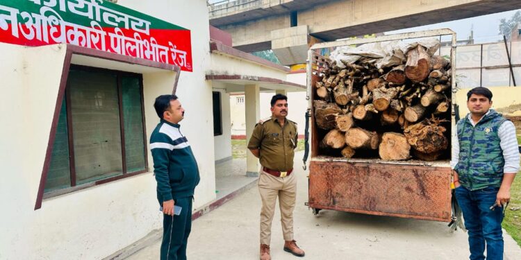 पीलीभीत सामाजिक वानिकी की टीम ने तड़के गश्त के दौरान जहानाबाद हाईवे पर पकड़ी अवैध लकड़ी से भरी पिकअप