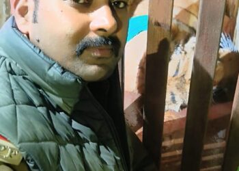 90 दिन बाद पकडा गया बाघ वन विभाग की टीम को दे रहा था चकमा बाघ के पकडे जाने से लोगो मे खुशी की लहर