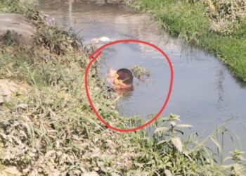 पानी पूड़ी के लिए आलू उबालने के दौरान गैस सिलेंडर में आग लगने से अफरा तफरी मची।