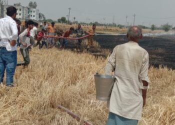 गेंहू की फसल में आग लगने से हड़कंप मच गया