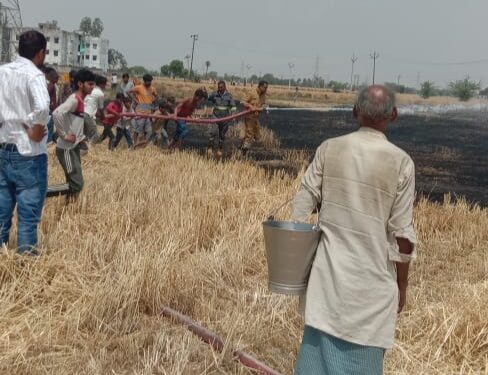 गेंहू की फसल में आग लगने से हड़कंप मच गया