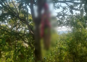 कुसमी: आम के पेड़ पर झूलती मिली महिला की लाश, मानसिक तनाव में उठाया खौफनाक कदम..