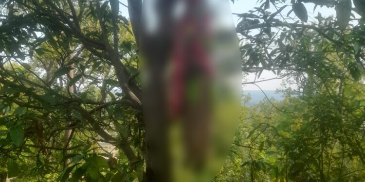 कुसमी: आम के पेड़ पर झूलती मिली महिला की लाश, मानसिक तनाव में उठाया खौफनाक कदम..