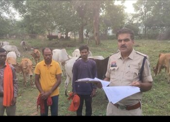 रामचंद्रपुर: गौ तस्करी के आरोप में दो अभियुक्त गिरफ्तार, 42 मवेशी बरामद..