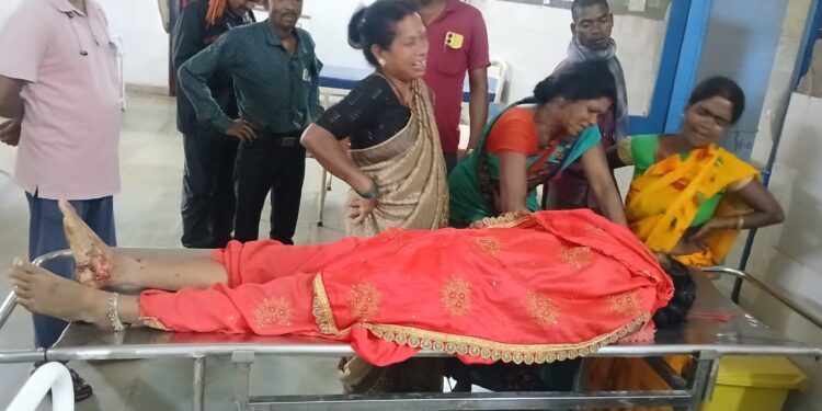 कुसमी: हिंडालको माइनिंग ट्रक की टक्कर से महिला की दर्दनाक मौत, मासूम बच्चा और पति घायल…