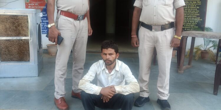 वाड्रफनगर: दो बैल चोरी कर भाग रहे थे तीन चोर, घेराबंदी में एक धराया – दो फरार..