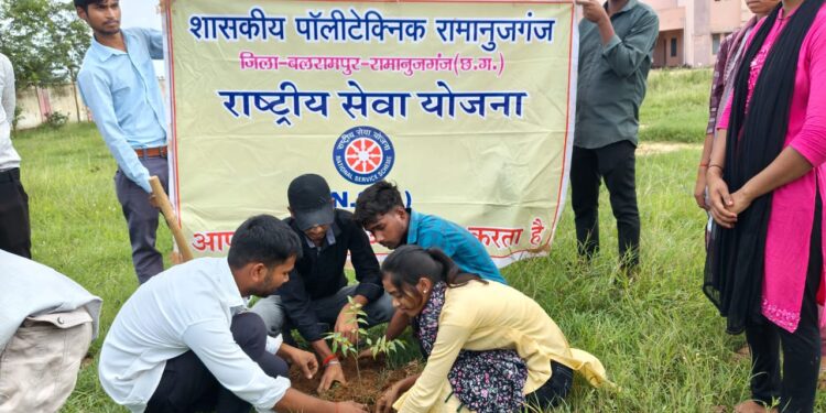 रामानुजगंज: पॉलिटेक्निक कॉलेज में पर्यावरण और ममता का अनोखा संगम..