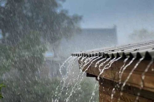 अबकी बार झमाझम की बौछार! बलरामपुर जिले में अब तक 1004.4 मि.मी. औसत वर्षा दर्ज