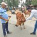 बलरामपुर: सड़क पर टक्कर से पहले अब दिखेंगे चमकते “सावधान”
