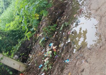 ग्राम दाउदपुर में विकास कार्य ठप, गलियों और नालियों की हालत बदतर