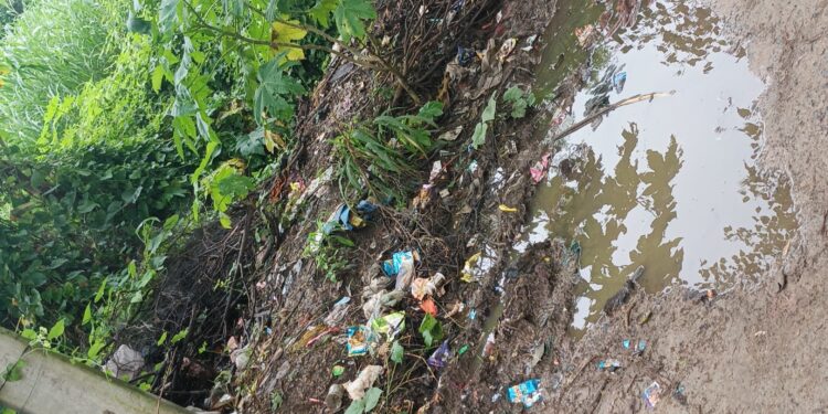 ग्राम दाउदपुर में विकास कार्य ठप, गलियों और नालियों की हालत बदतर