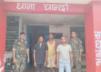 चांदो: झारखंड बूचड़खाने ले जाए जा रहे 4 गौवंश हुए मुक्त, तीन आरोपी दबोचे गए..