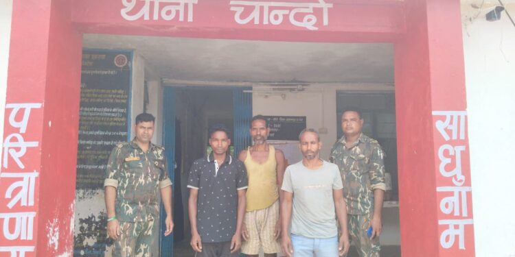 चांदो: झारखंड बूचड़खाने ले जाए जा रहे 4 गौवंश हुए मुक्त, तीन आरोपी दबोचे गए..