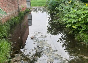 महेवा ब्लॉक के मानपुरा गांव में सड़क की बदहाली, ग्रामीणों का आरोप – प्रधान ने सड़क के रुपए हड़प लिए