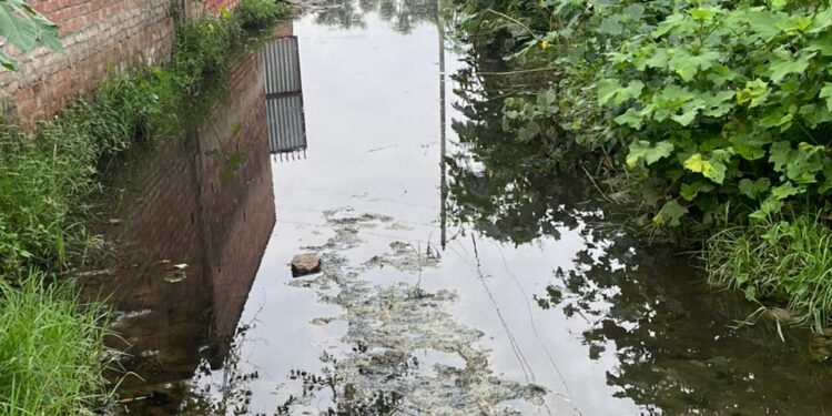 महेवा ब्लॉक के मानपुरा गांव में सड़क की बदहाली, ग्रामीणों का आरोप – प्रधान ने सड़क के रुपए हड़प लिए