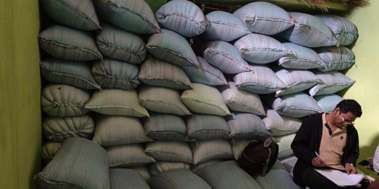 बलरामपुर: संयुक्त टीम की सख्त कार्रवाई—अब तक 3865 क्विंटल अवैध धान जब्त…