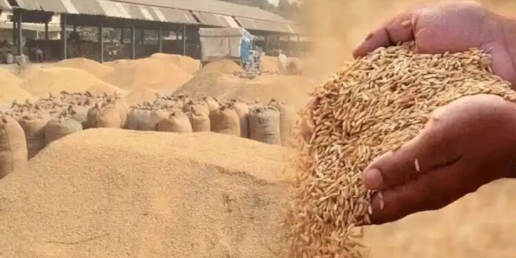 बलरामपुर: 19 से 25 नवंबर तक किसानों के लिए धान बिक्री पंजीयन व रकबा संशोधन का अतिरिक्त अवसर..