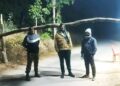 बलरामपुर: आधी रात की दबिश! अवैध धान परिवहन पर कलेक्टर की सख़्ती, अनिरुद्धपुर नाका में हड़कंप..