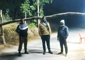 बलरामपुर: आधी रात की दबिश! अवैध धान परिवहन पर कलेक्टर की सख़्ती, अनिरुद्धपुर नाका में हड़कंप..