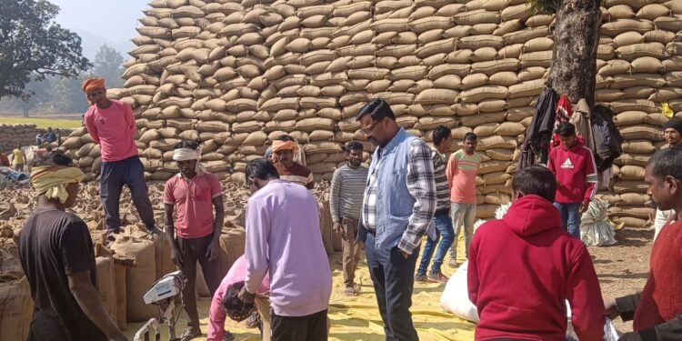 बलरामपुर-रामानुजगंज जिले में धान खरीदी ने पार किया 10 लाख क्विंटल का आंकड़ा..