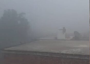कोहरे ने दी दस्तक थमी रफ्तार