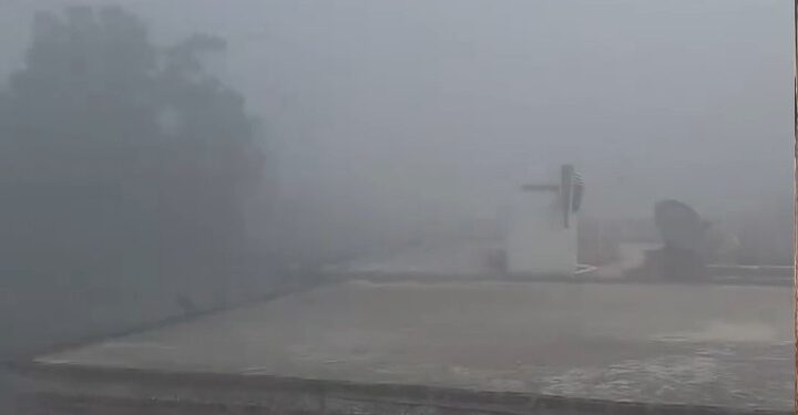 कोहरे ने दी दस्तक थमी रफ्तार