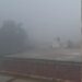 कोहरे ने दी दस्तक थमी रफ्तार