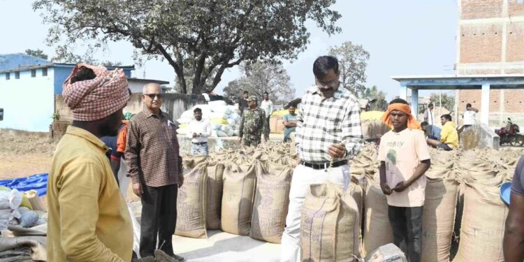 बलरामपुर जिले में धान खरीदी 16 लाख क्विंटल के पार, 49 उपार्जन केन्द्रों में सुचारु व्यवस्था