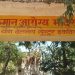 इकदिल के आयुष्मान आरोग्य मंदिर से डॉक्टर गायब, मरीज परेशान
