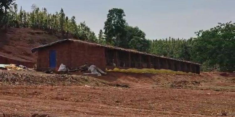 शंकरगढ़: बस्ती के बीच पोल्ट्री फार्म से ग्रामीण परेशान, हटाने की मांग तेज — एसडीएम ने जांच का दिया भरोसा