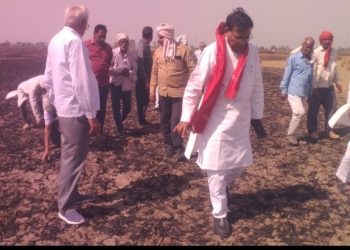 आग से बर्बाद फसलों पर 50 हजार रुपये प्रति एकड़ मुआवजे की मांग, किसान सभा ने उठाई आवाज