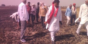 आग से बर्बाद फसलों पर 50 हजार रुपये प्रति एकड़ मुआवजे की मांग, किसान सभा ने उठाई आवाज