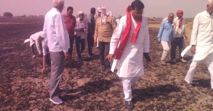 आग से बर्बाद फसलों पर 50 हजार रुपये प्रति एकड़ मुआवजे की मांग, किसान सभा ने उठाई आवाज