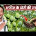 कुसमी: तुर्रीपानी-खजूरी में अवैध अफीम खेती का बड़ा खुलासा, झारखंड से चौथा आरोपी गिरफ्तार