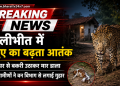 पीलीभीत में तेंदुए का आतंक, घर से बकरी उठाकर मार डाला