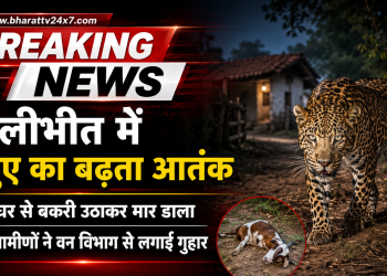 पीलीभीत में तेंदुए का आतंक, घर से बकरी उठाकर मार डाला