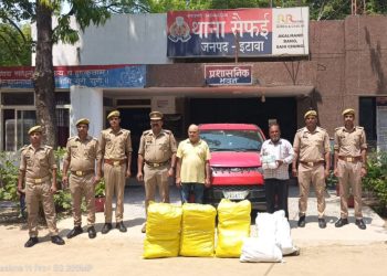 इटावा में नकली बाजरा बीज का बड़ा खेल बेनकाब
